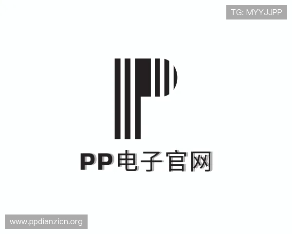 关于pp电子官网
